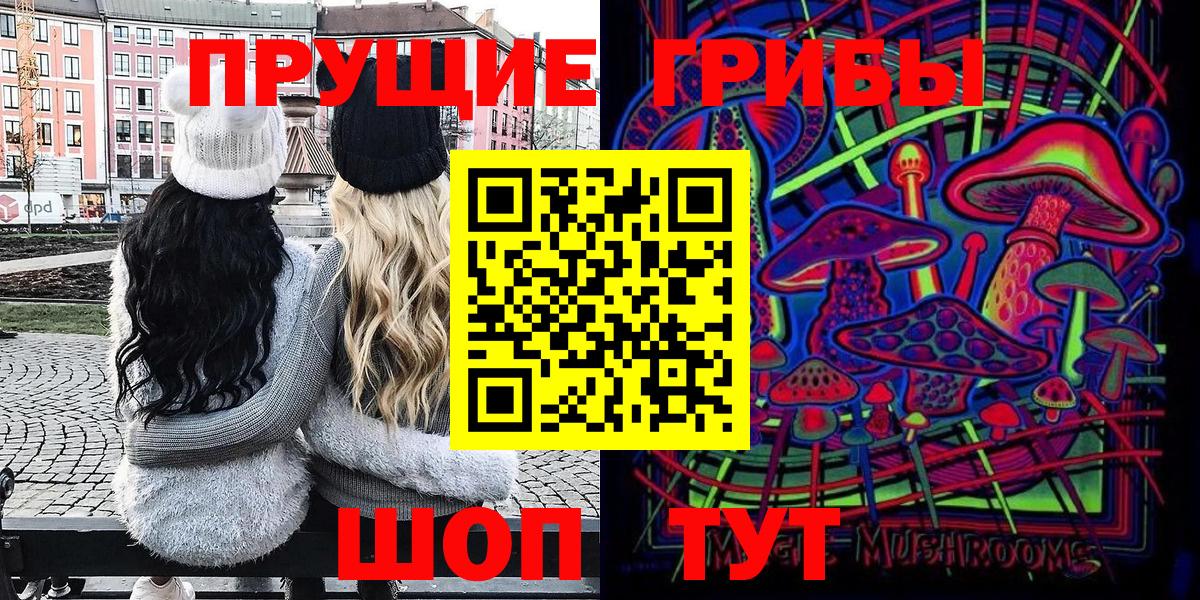Галлюциногенные грибы Psilocybe Серпухов