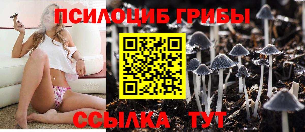 Галлюциногенные грибы GOLDEN TEACHER  Вход с VPN  Серпухов 